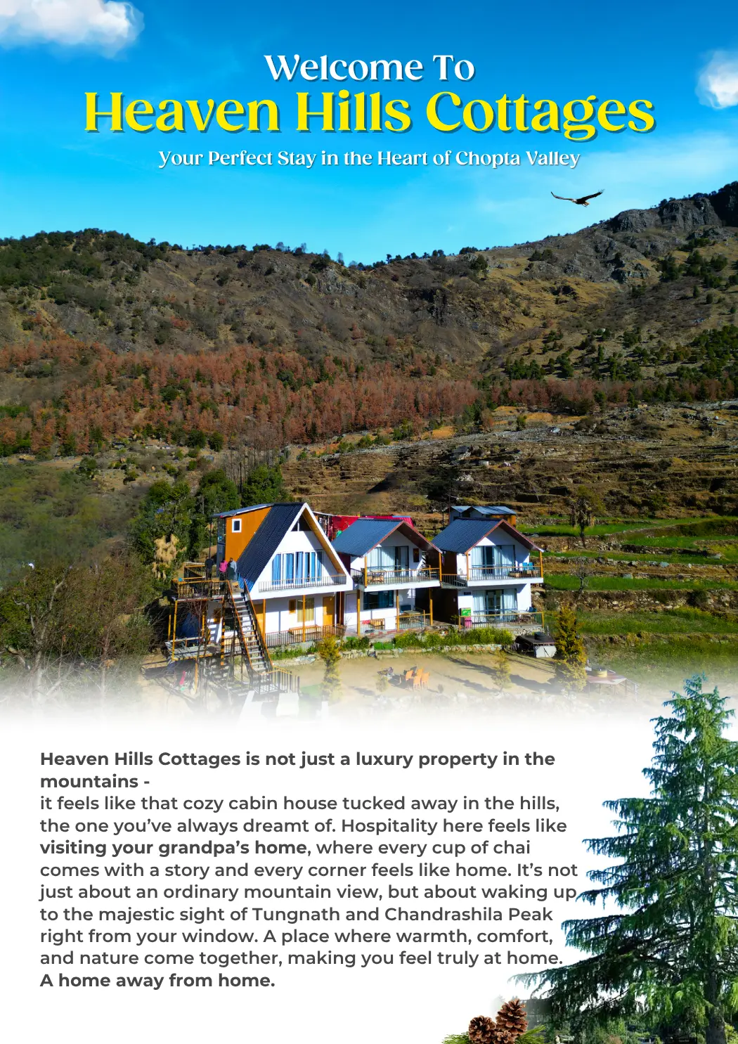 Heaven hills cottage (2)